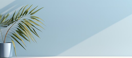 Minimal abstract background for product presentation, featuring a blurred shadow from palm leaves on
