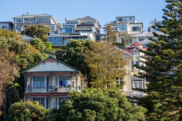 Row of colorful homes situated along a city street in Wellington, New Zealand