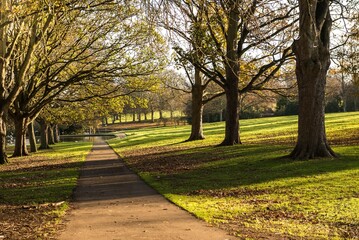 Park land in and around Northamptonshire, England