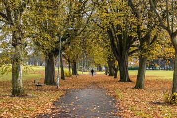 Park land in and around Northamptonshire, England