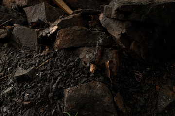 Texture of earth with stones dark background