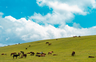 Green hill and white fluffy clouds over it. Horses grazing in the meadow