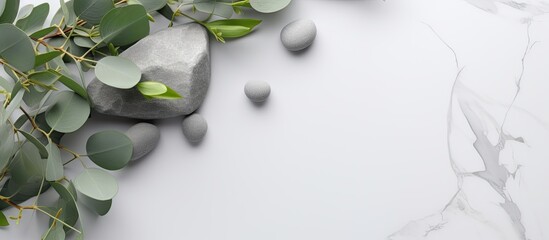 floral natural mock-up. The paper is blank and there are eucalyptus leaves and stones on a gray background.