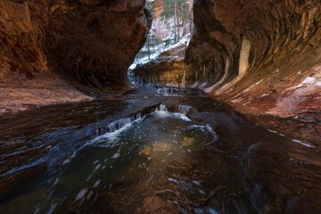 Left Fork of North Creek in Zion National Park