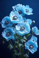 Close-up of a blue anemone blanda. Flowers backdrop.