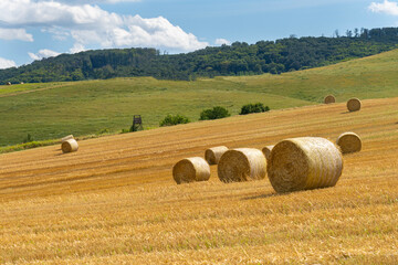 Fototapeta premium Straw bales in the summer sun on a hillside in Hungary.