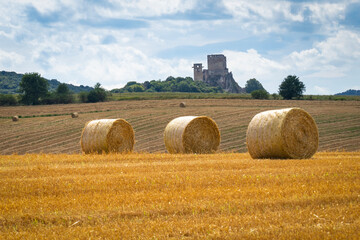 Fototapeta premium Straw bales in the summer sun on a hillside in Hungary with a castle ruin in the background