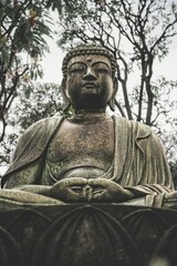 Obraz premium Majestic Japanese statue of the Buddha in front of a towering building and lush trees