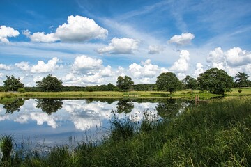 Fototapeta na wymiar Tranquil landscape featuring a serene reflective pond surrounded by lush trees in a peaceful field