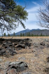 Large rocks and small trees in the foreground at the base of a mountain, Flagstaff, Arizona