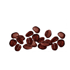 coffee beans isolated on white background