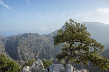 Hiking holidays Mallorca, Spain. Beautiful picture with landscape of Serra de Tramuntana mountains in the island of Majorca in Mediterranean sea. Paradise for bikers. Adventure travel.