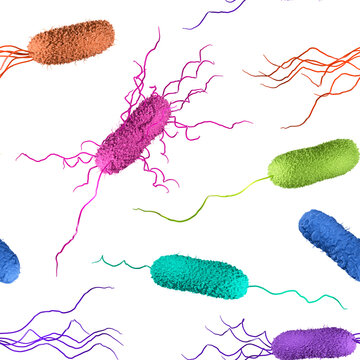 Seamless pattern with colorful Bacteria with different flagella arrangement: Monotrichous, Amphitrichous, Lophotrichous, Amphilophotrichous, Peritrichous. 3d illustration on white background