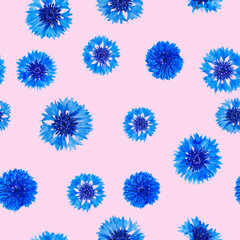 Seamless pattern of fresh blue cornflower flowers on light pink background