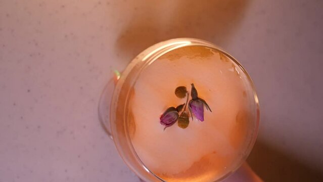 Bartender Serving Flower-Adorned Cocktail in Highball Glass - Vertical Video