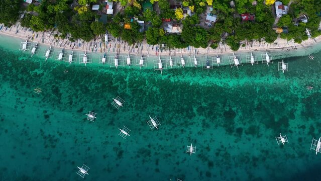 Aerial view of catamarans along the coastline at Balicasag Island, Bohol, Philippines.