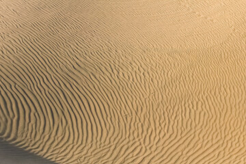 Fototapeta na wymiar Namibia, the Namib desert, dunes.