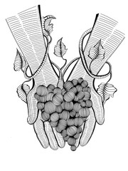 grapes on hands vine produce line art