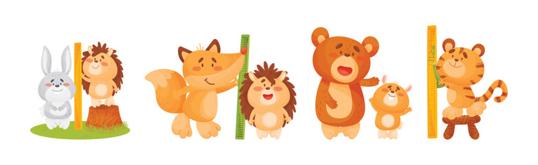 Funny Animals Measuring and Comparing Heights Vector Set