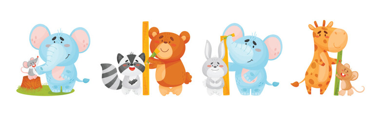 Funny Animals Measuring and Comparing Heights Vector Set