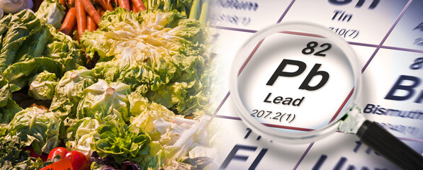 Lead pollution in vegetables - concept with the Mendeleev periodic table and fresh vegetables -...