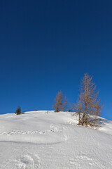 Beautiful alpine panoramic view of snowy mountains, beautiful European winter mountains in Italy Dolomites, lope for cross country skiers and downhill skiers in countryside. Picturesque wintry scene