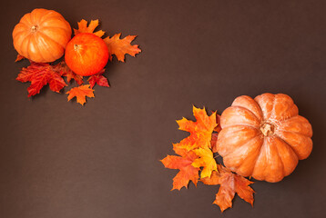 Border made of pumpkins and autumn leaves on dark background.