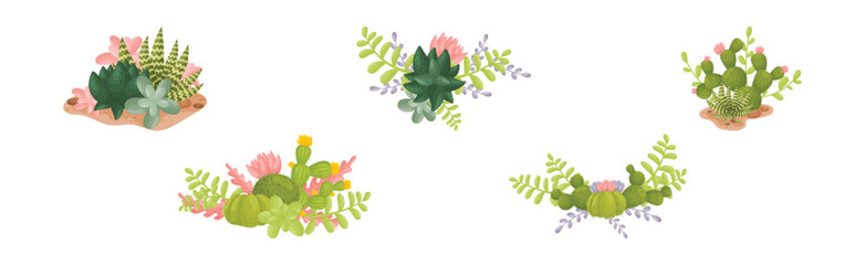Cacti and Succulent Green Plant Growing in Desert Vector Set