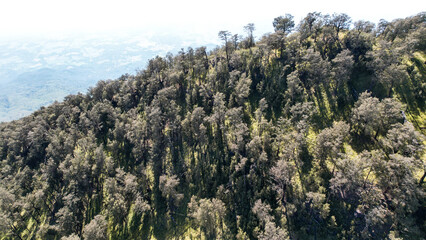 The beautiful Landscape view from Lawu Mountain at sunrise located in Magetan. One of the most beautiful mountains in Java with an altitude of 3265m above sea level. 