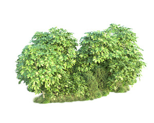 Obraz premium Green landscape isolated on transparent background. 3d rendering - illustration
