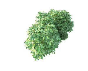 Obraz premium Green landscape isolated on transparent background. 3d rendering - illustration