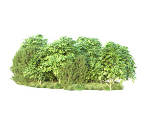 Fototapeta premium Green landscape isolated on transparent background. 3d rendering - illustration