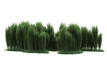 Green landscape isolated on transparent background. 3d rendering - illustration