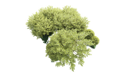 Green landscape isolated on transparent background. 3d rendering - illustration