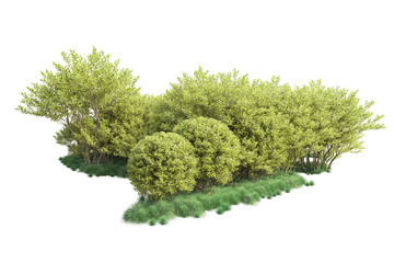 Green landscape isolated on transparent background. 3d rendering - illustration