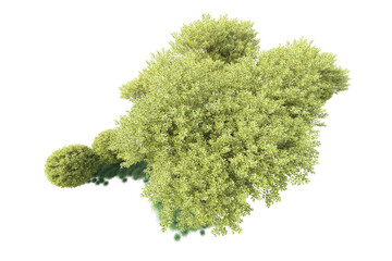 Green landscape isolated on transparent background. 3d rendering - illustration