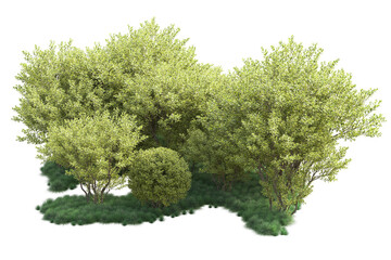 Fototapeta premium Green landscape isolated on transparent background. 3d rendering - illustration
