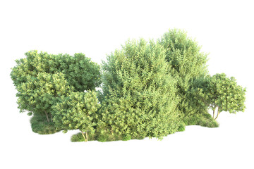 Green landscape isolated on transparent background. 3d rendering - illustration