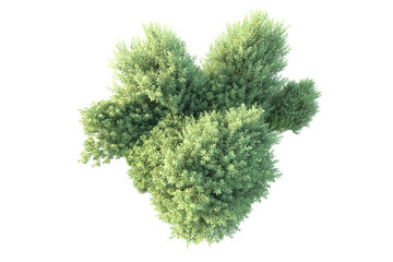 Green landscape isolated on transparent background. 3d rendering - illustration