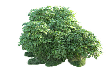 Obraz premium Green landscape isolated on transparent background. 3d rendering - illustration