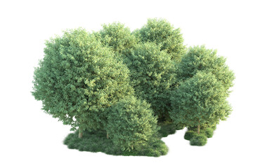 Green landscape isolated on transparent background. 3d rendering - illustration