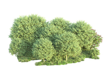 Green landscape isolated on transparent background. 3d rendering - illustration