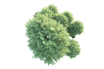 Obraz premium Green landscape isolated on transparent background. 3d rendering - illustration