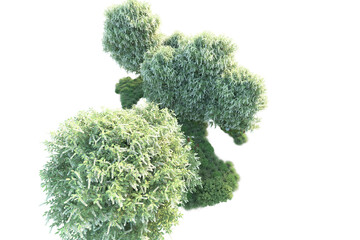 Fototapeta premium Green landscape isolated on transparent background. 3d rendering - illustration