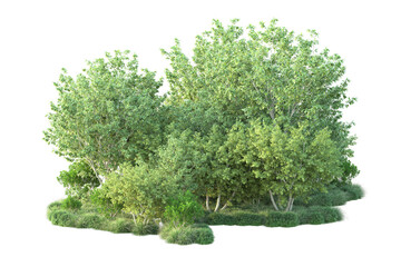 Green landscape isolated on transparent background. 3d rendering - illustration