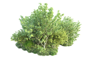 Obraz premium Green landscape isolated on transparent background. 3d rendering - illustration