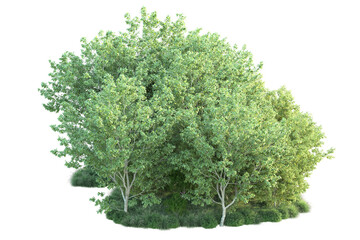 Fototapeta premium Green landscape isolated on transparent background. 3d rendering - illustration