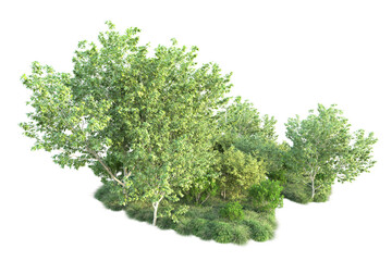 Fototapeta premium Green landscape isolated on transparent background. 3d rendering - illustration