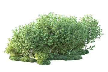 Fototapeta premium Green landscape isolated on transparent background. 3d rendering - illustration