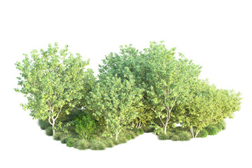 Obraz premium Green landscape isolated on transparent background. 3d rendering - illustration